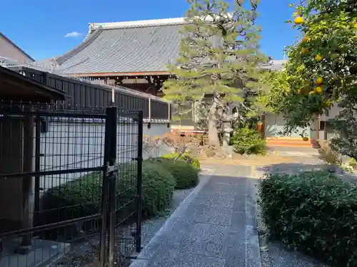 月輪寺(京都府)