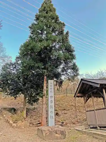 大縣神社のその他建物