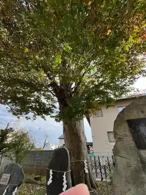 三ツ石神社(岩手県)
