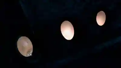 龍口寺のお祭り