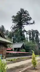 鹿嶋三嶋神社(茨城県)