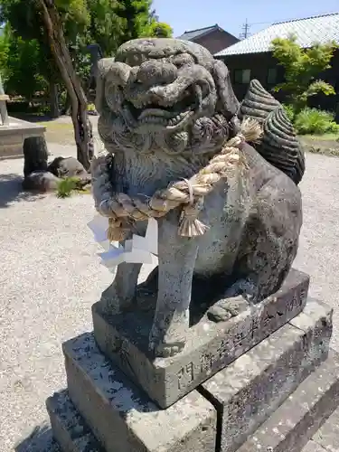 槌宮神社の狛犬