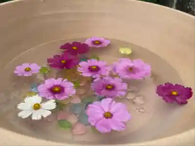 般若寺 ❁﻿コスモス寺❁(奈良県)