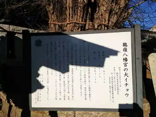 鶴嶺八幡宮の自然