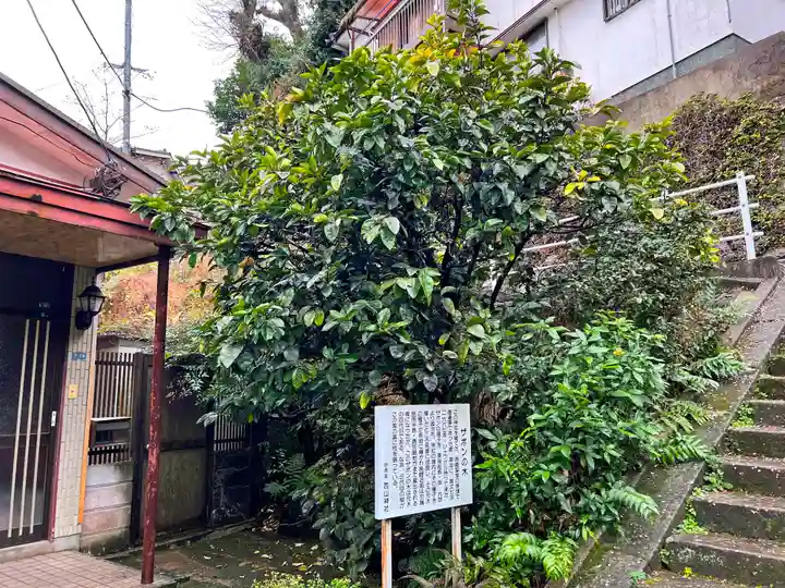 西山神社の自然