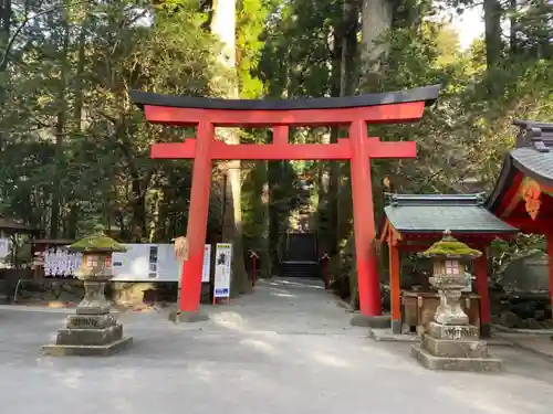 箱根神社の鳥居