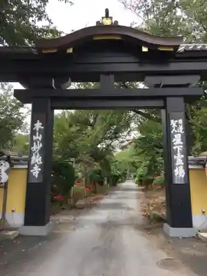 妙純寺の山門・神門