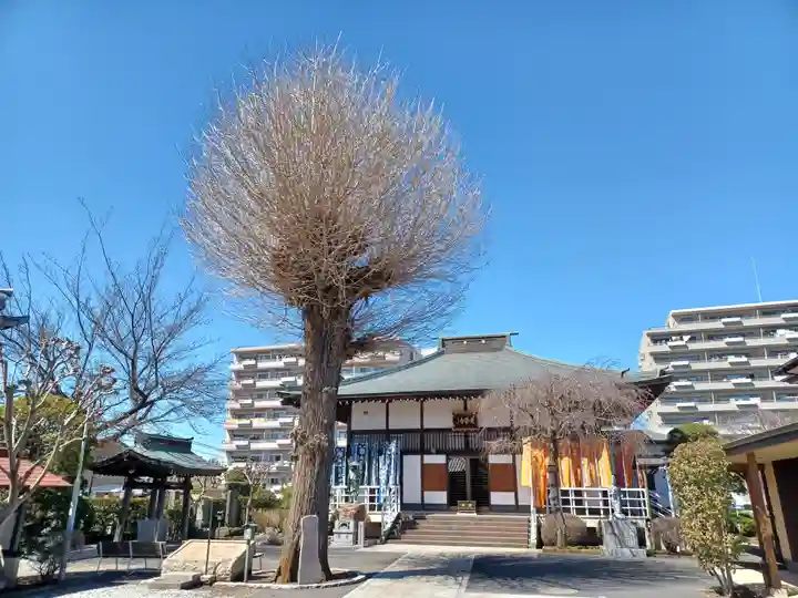 長栄寺(埼玉県)