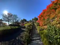 善峯寺の建物その他