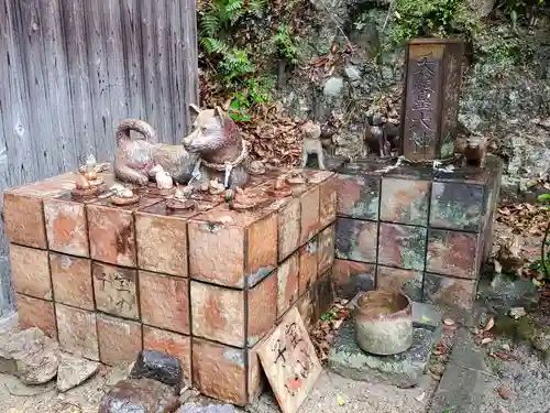 天津神社の狛犬