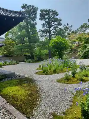 廬山寺（廬山天台講寺）(京都府)