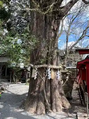 秩父神社(埼玉県)