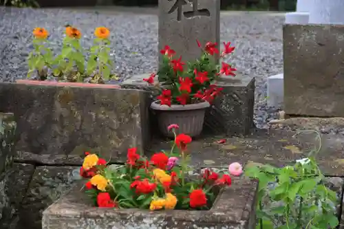 熊野福藏神社の手水