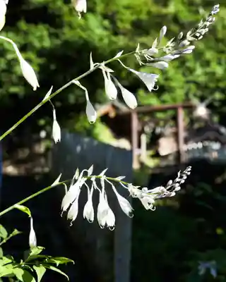 戸隠神社奥社(長野県)