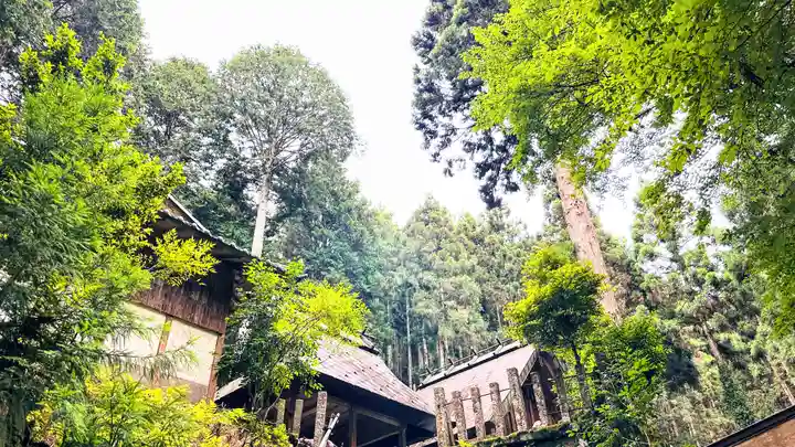 鏡神社(京都府)
