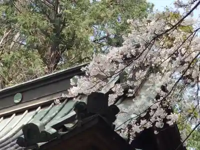 腰掛神社(神奈川県)