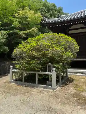 常楽寺(兵庫県)