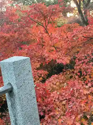 東福禅寺(東福寺)(京都府)