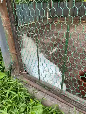 進雄神社(群馬県)