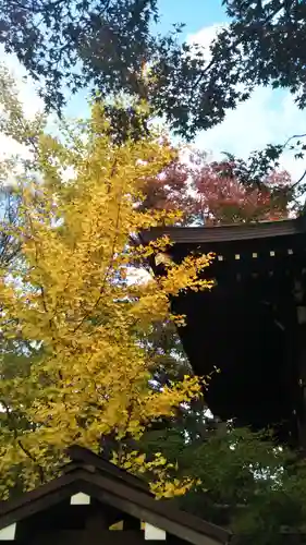 行田八幡神社の自然