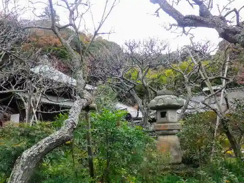 瑞泉寺の庭園