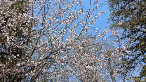 永山神社の自然