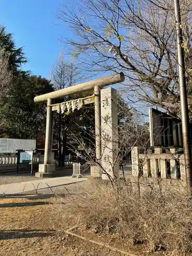 浅草神社の鳥居