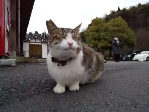 御誕生寺（猫寺）(福井県)