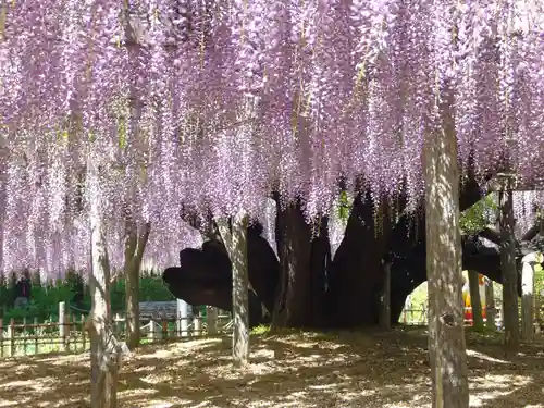 玉敷神社の庭園