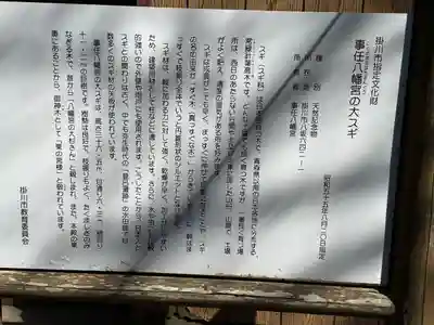 事任八幡宮(静岡県)