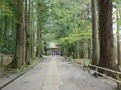 白山神社の建物その他