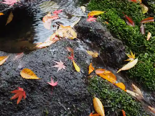 善知鳥神社の手水