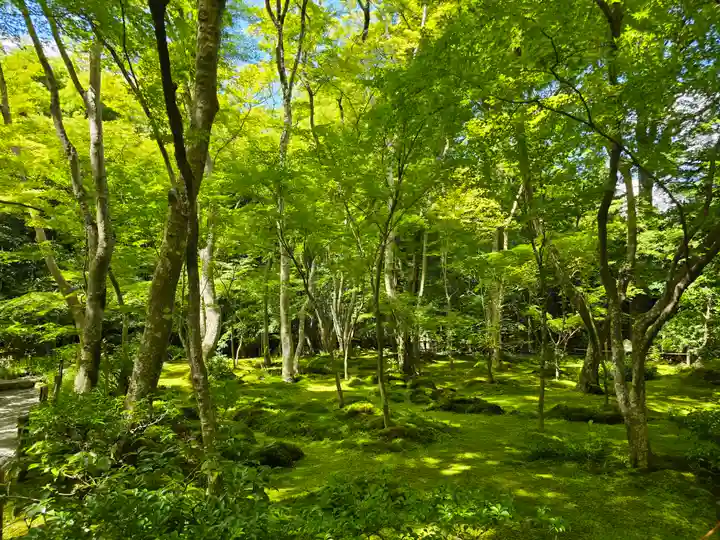 祇王寺(京都府)