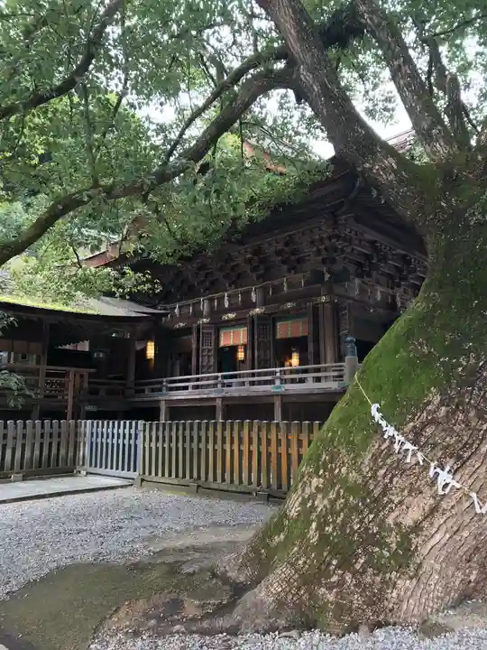 金刀比羅宮の本殿・本堂