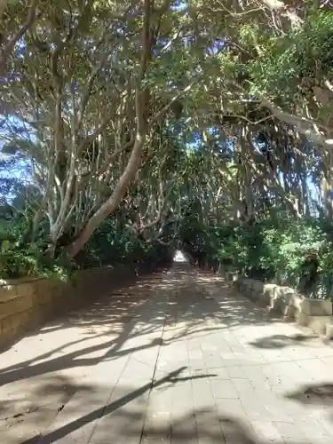 酒列磯前神社の自然