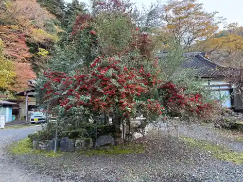 金剛院(京都府)