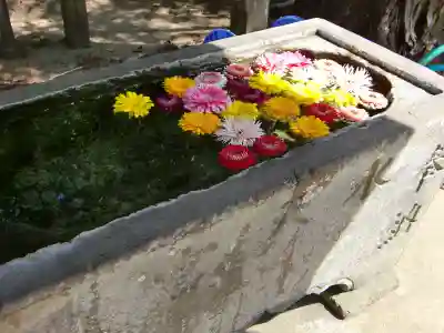 椿ノ海 水神社の手水舎