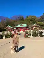 足利織姫神社のその他建物