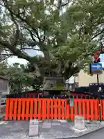 藤木社(賀茂別雷神社末社)(京都府)