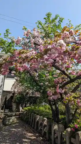 六孫王神社(京都府)