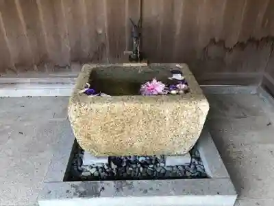竹生島神社(都久夫須麻神社)の手水舎