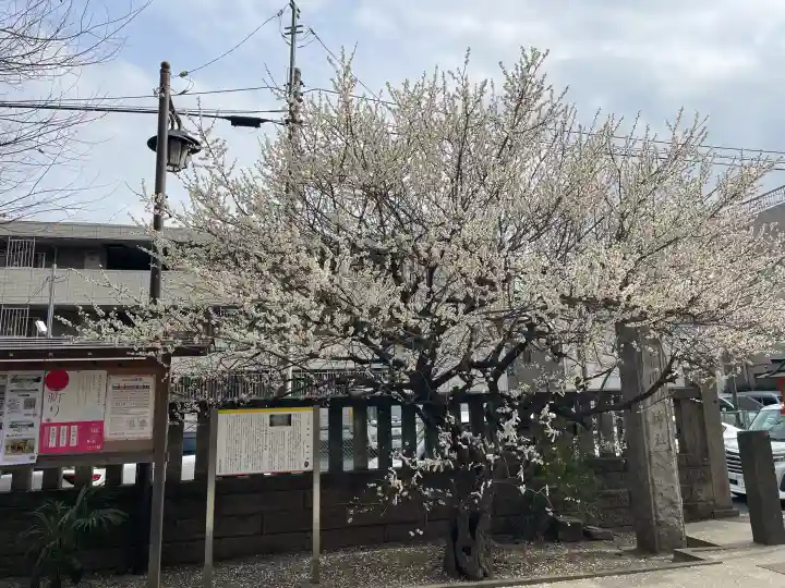 氷川鍬神社の{uncategorized: "未分類", other: "その他", undefined: "問題あり", building: "その他建物", grave: "お墓", sacred_gate: "鳥居", guardian: "狛犬", statue: "像", buddha: "仏像", history: "歴史", nature: "自然", garden: "庭園", animal: "動物", pagoda: "塔", temizu: "手水舎", mountain_gate: "山門・神門", sanctuary: "本殿・本堂", subordinate: "末社・摂社", art: "芸術", scenery: "景色", jizo: "地蔵", ema: "絵馬", goshuin: "御朱印", omikuji: "おみくじ", items: "授与品その他", amulet: "お守り", goshuincho: "御朱印帳", eats: "食事", festival: "お祭り", votive_dance: "神楽", shichigosan: "七五三参", wedding: "結婚式", experience: "体験その他", initially: "初詣", around: "周辺", anti_infection: "感染症対策"}