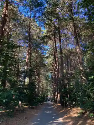 八幡神社(茨城県)