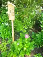 御霊神社のその他建物