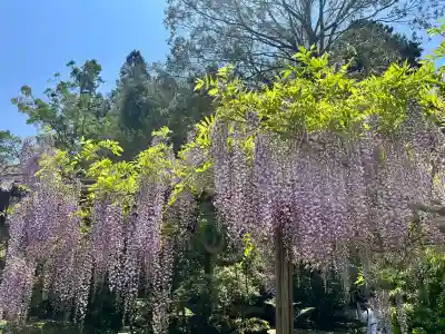 歌泉堂（春日大社神苑萬葉植物園内鎮座）(奈良県)
