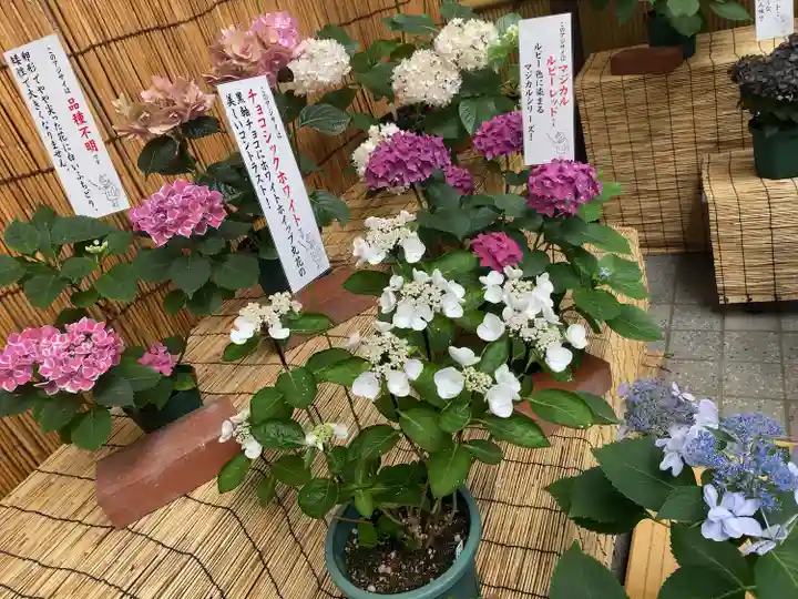 十番稲荷神社のその他建物