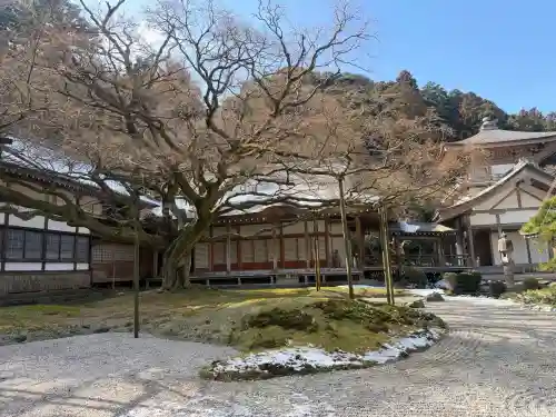 千如寺大悲王院の{uncategorized: "未分類", other: "その他", undefined: "問題あり", building: "その他建物", grave: "お墓", sacred_gate: "鳥居", guardian: "狛犬", statue: "像", buddha: "仏像", history: "歴史", nature: "自然", garden: "庭園", animal: "動物", pagoda: "塔", temizu: "手水舎", mountain_gate: "山門・神門", sanctuary: "本殿・本堂", subordinate: "末社・摂社", art: "芸術", scenery: "景色", jizo: "地蔵", ema: "絵馬", goshuin: "御朱印", omikuji: "おみくじ", items: "授与品その他", amulet: "お守り", goshuincho: "御朱印帳", eats: "食事", festival: "お祭り", votive_dance: "神楽", shichigosan: "七五三参", wedding: "結婚式", experience: "体験その他", initially: "初詣", around: "周辺", anti_infection: "感染症対策"}