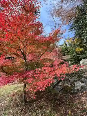 岩角山 岩角寺(福島県)