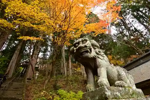 戸隠神社宝光社の狛犬