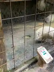 宝八幡宮の動物